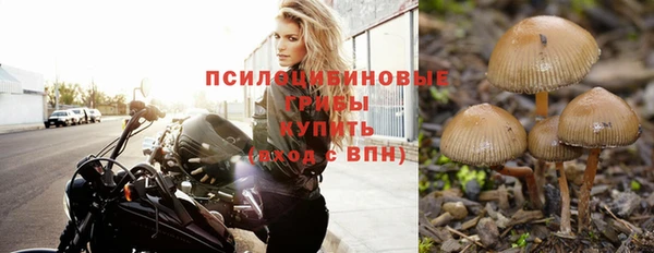 эйфоретик Кинешма