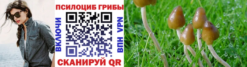 где купить   Рыбинск  МЕГА ССЫЛКА  Галлюциногенные грибы Cubensis 